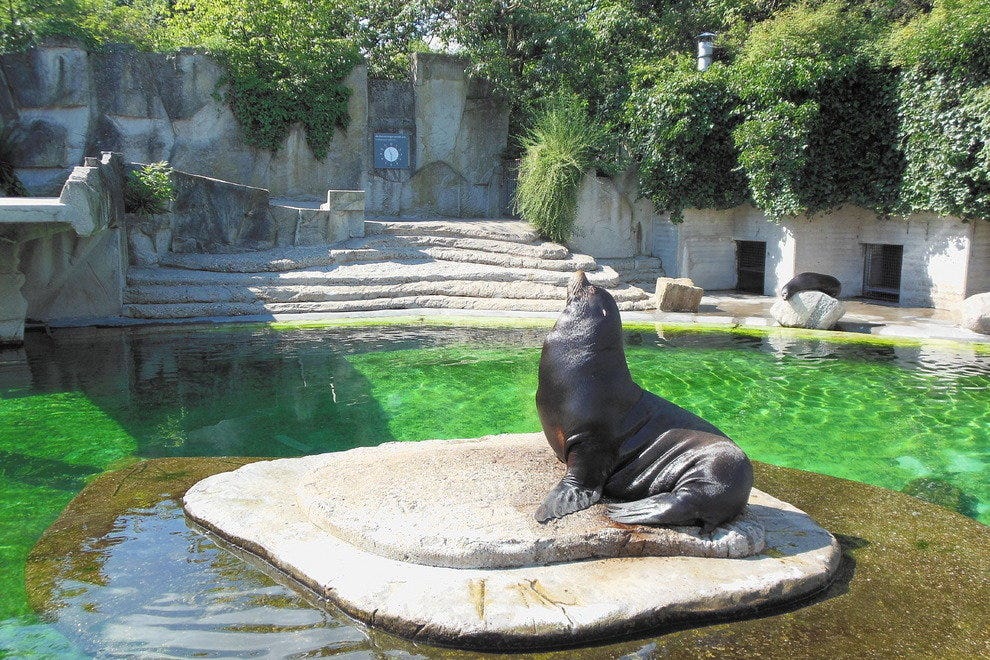 Artis zoo in Amsterdam