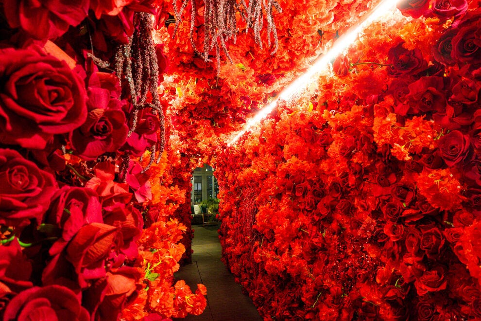 This crimson Christmas tunnel wouldn