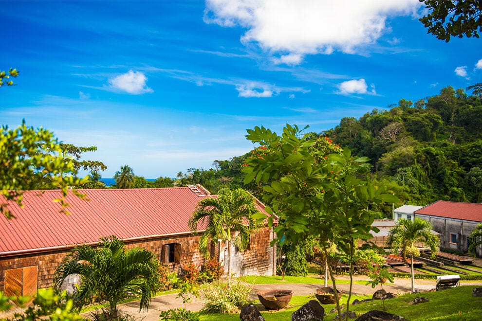 Fit in some agro-tourism at Belmont Estate