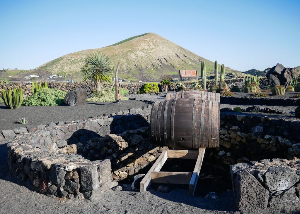 Bodegas El Grifo Lanzarote