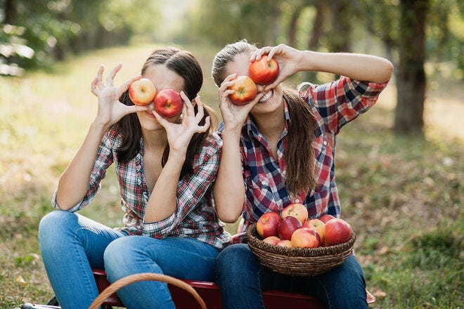 Pick your own produce at these 20 orchards