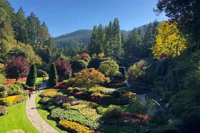 Explore the beauty of Butchart Gardens