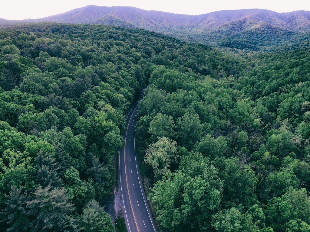 Drone shot of road winding through the trees in Virginia.